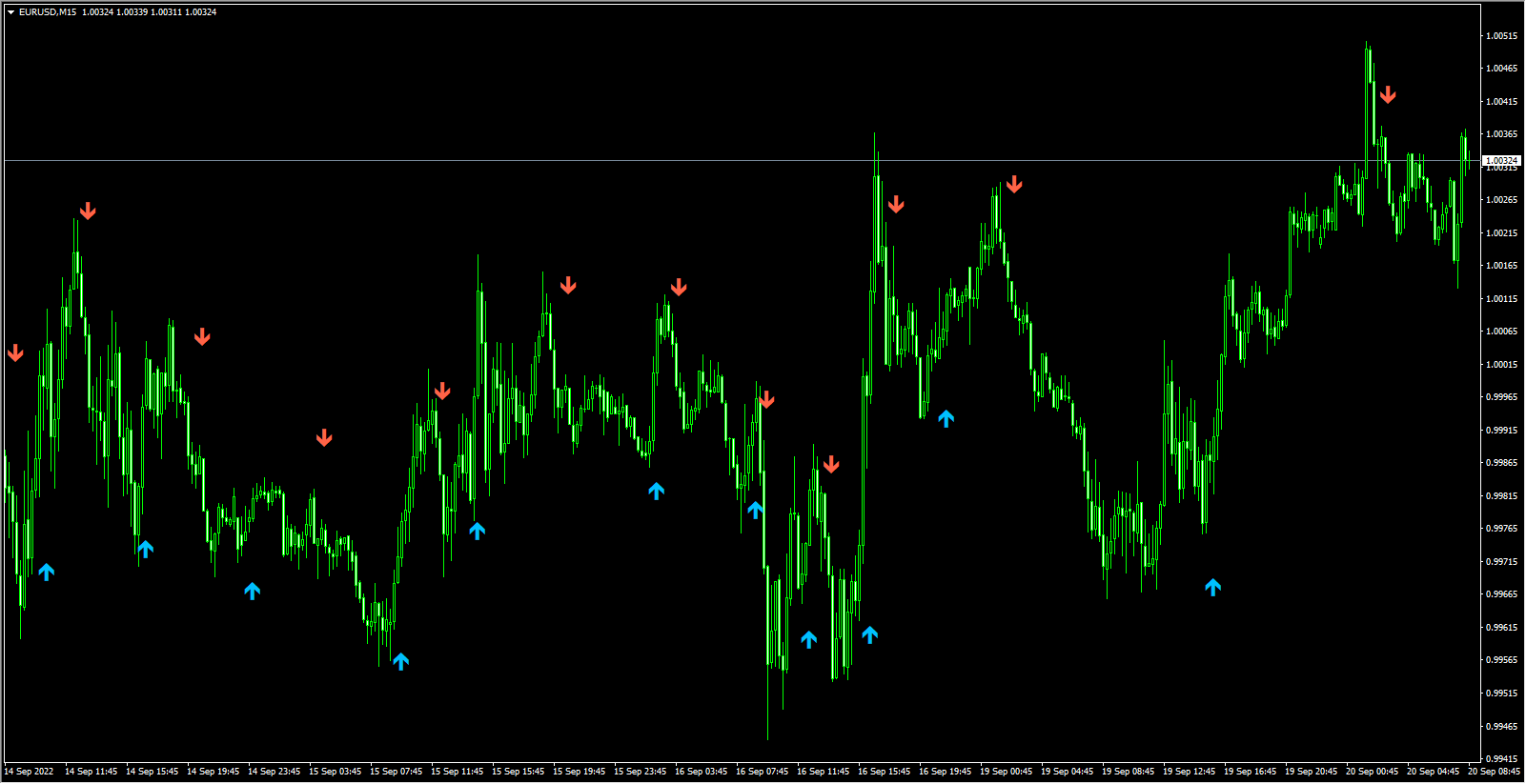 1_5041796808091631835