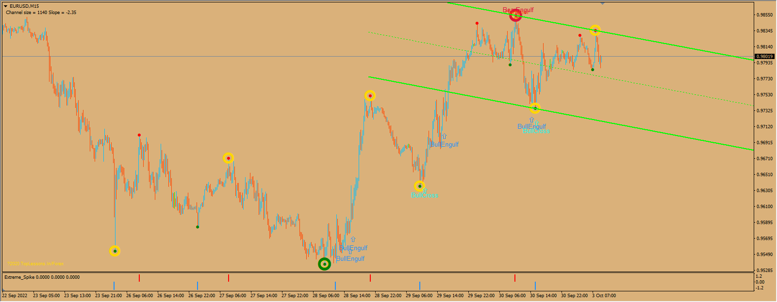 BELLY FX ADVANCE SYSTEM