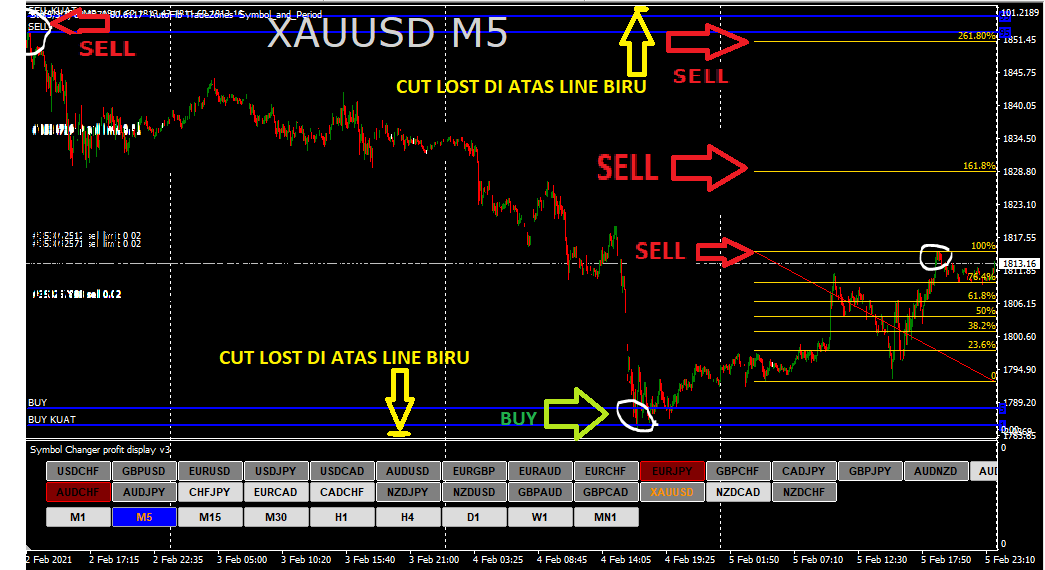 INDI DAUS POWER 2021