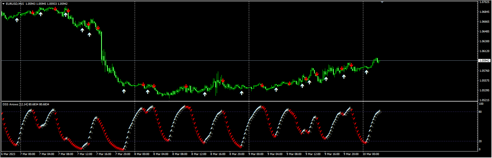 DSS Bressert Arrows TT