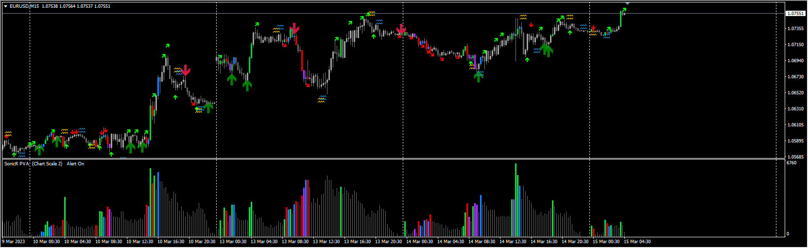 Assar-Phoenix-Elite-2022