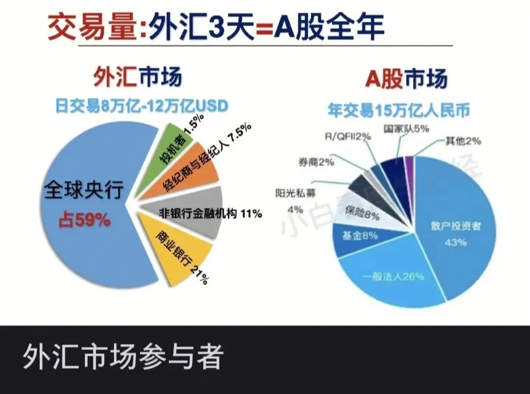 市场上有哪些螃蟹
