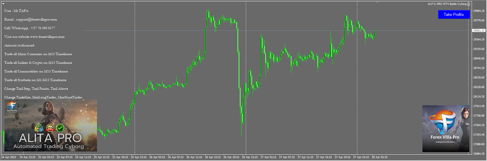 ALITA PRO TRADING CYBORG v1.0