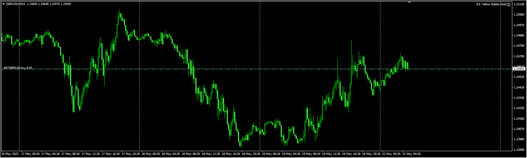 EA Yellow Rabbit Gold