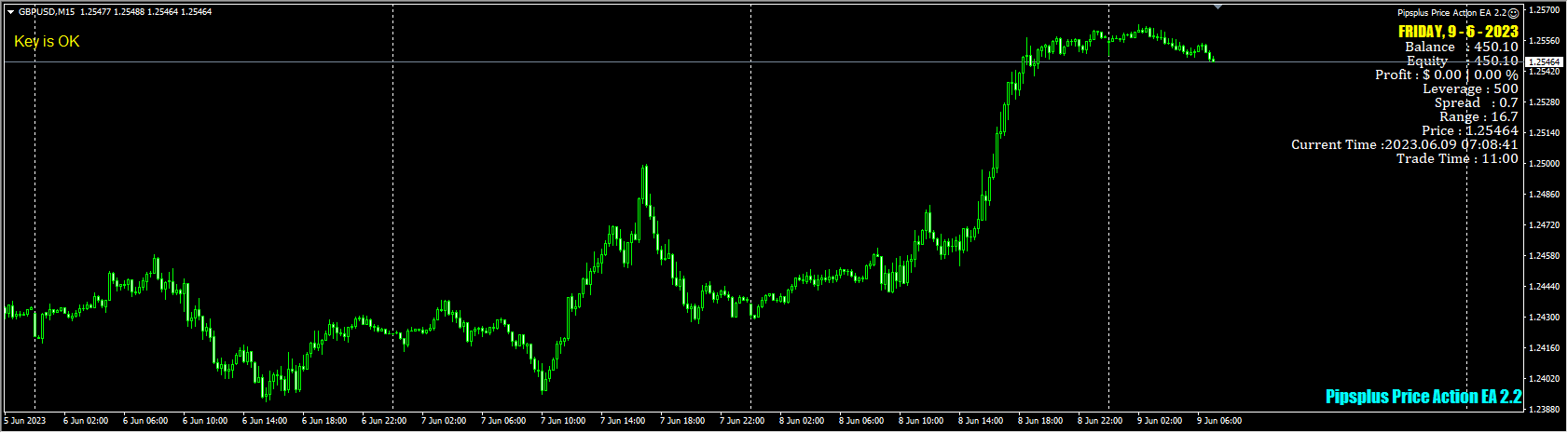 Pipsplus Price Action EA 2.2