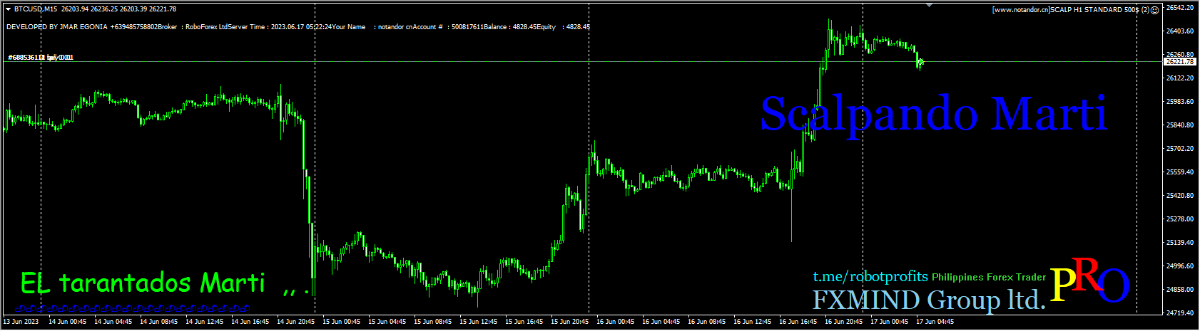SCALP H1 STANDARD 500$