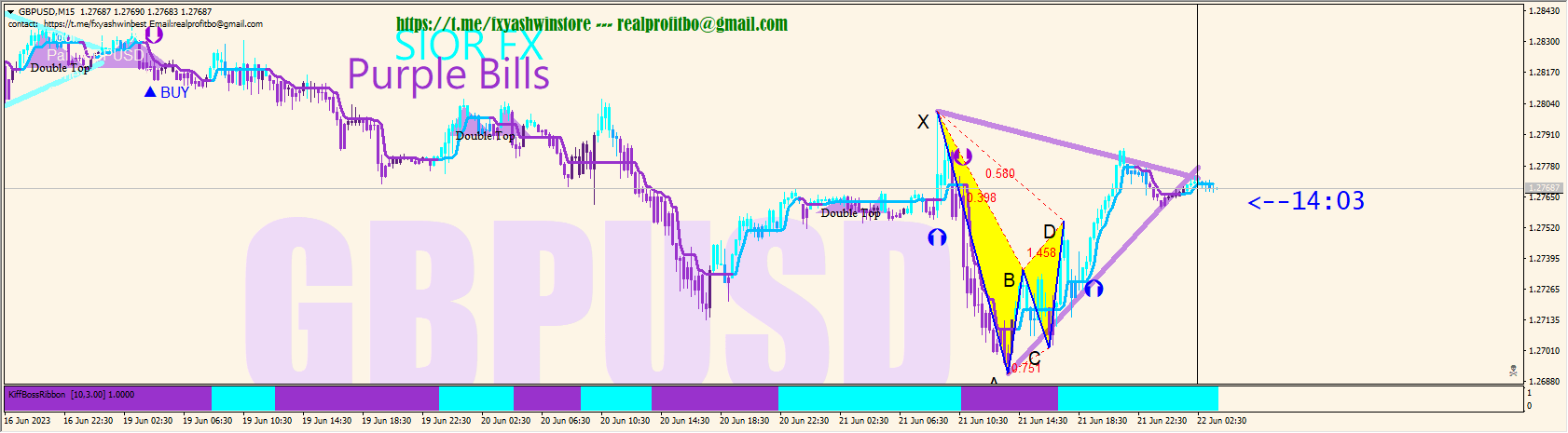 SIOR FX Purple Bills System