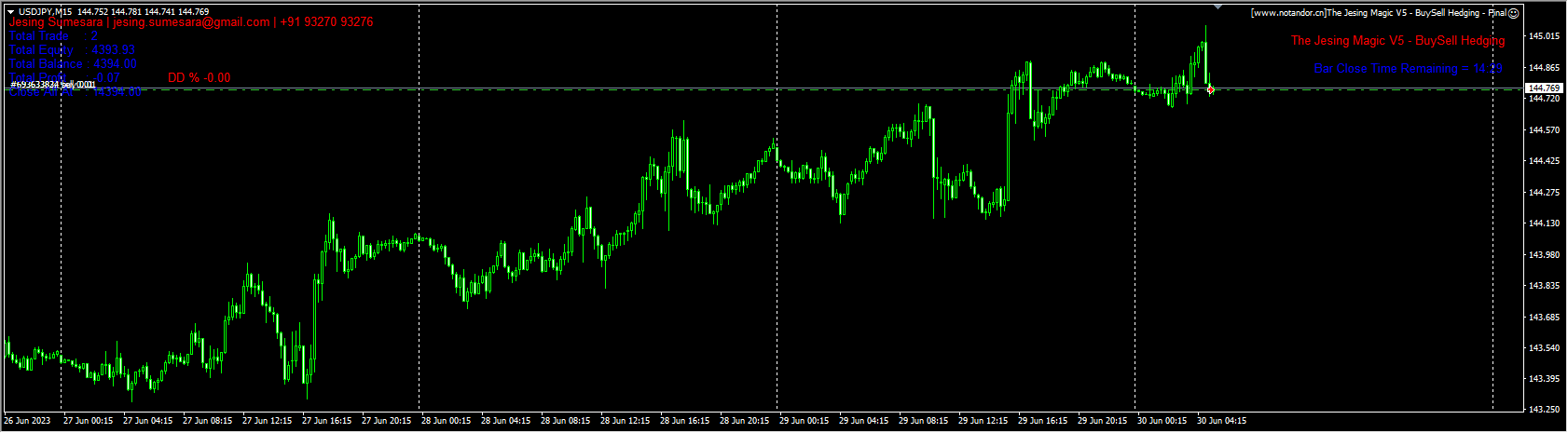 The Jesing Magic V5 - BuySell Hedging - Final