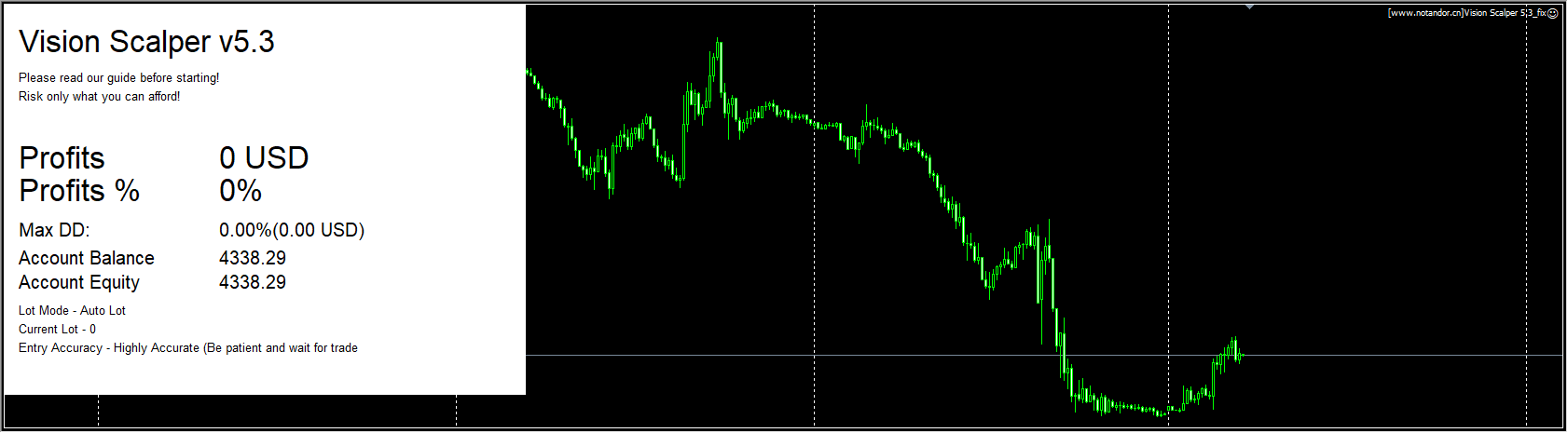 Vision Scalper 5.3_fix