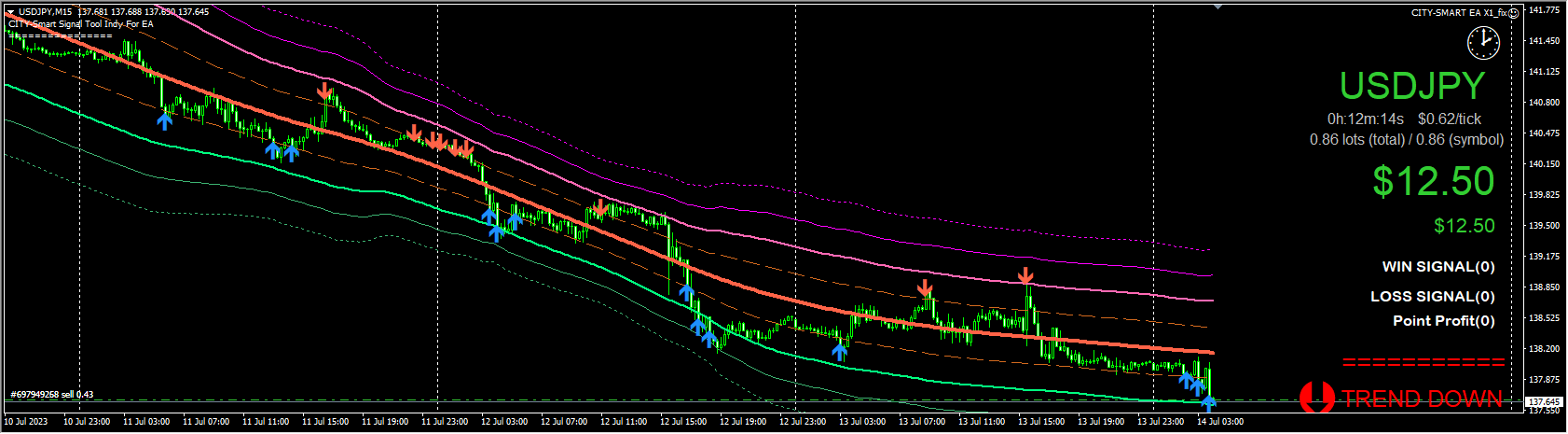 CITY-SMART EA X1_fix