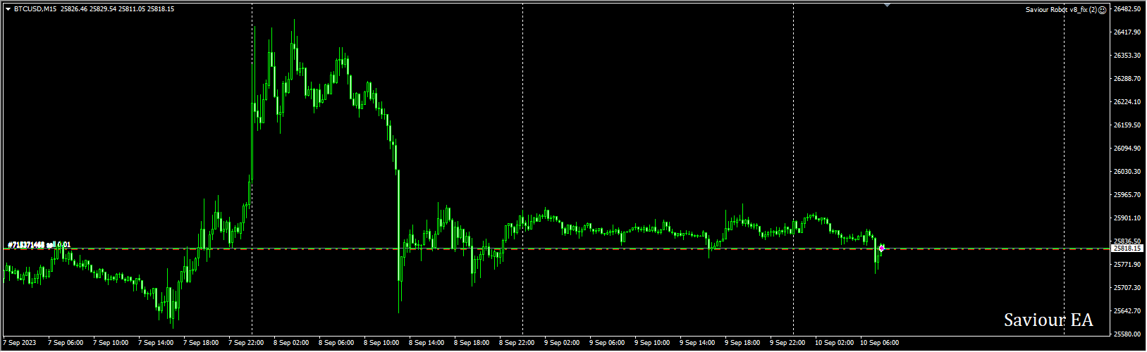 Saviour Robot v8_fix
