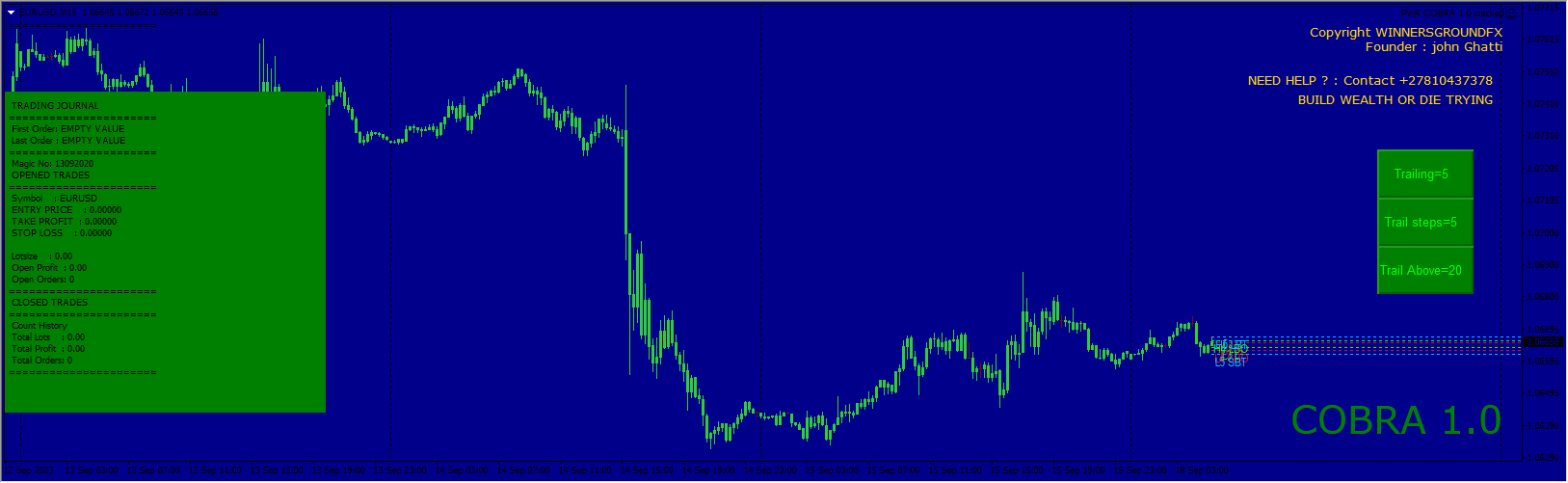 VSP PWR Cobra 1.0 CRACKED
