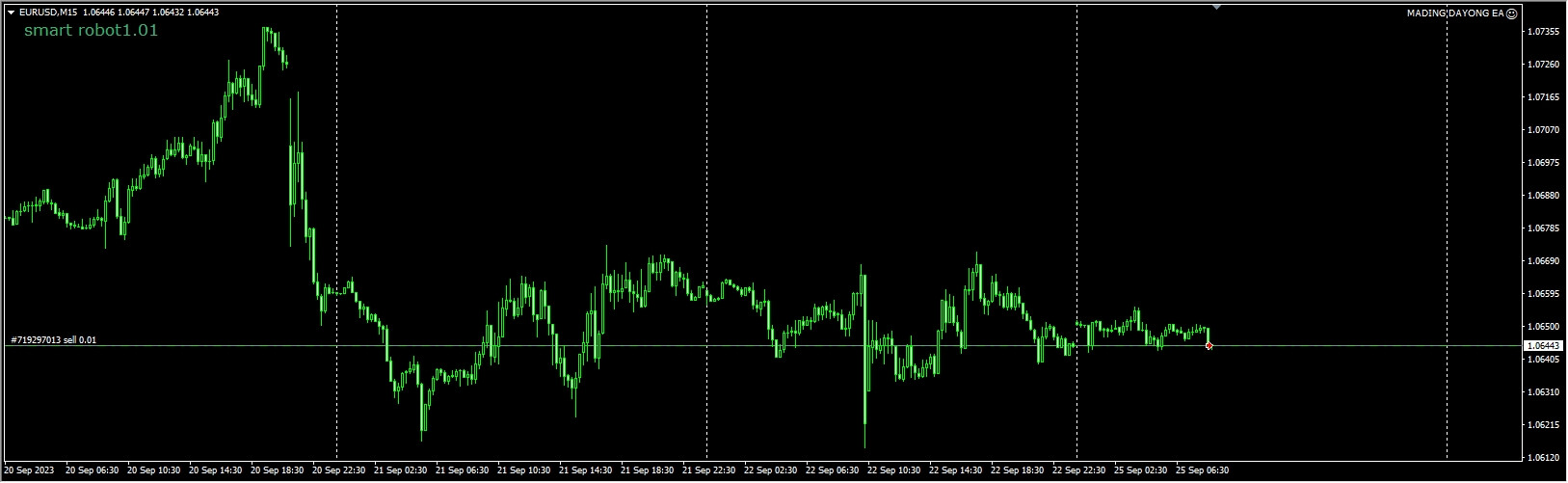 马丁大勇合作smart