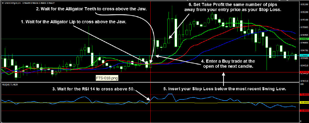 Forex Trend Secrets System