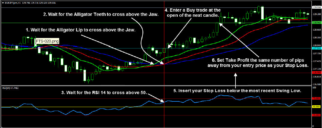 Forex Trend Secrets System