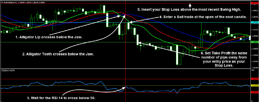 Forex Trend Secrets System