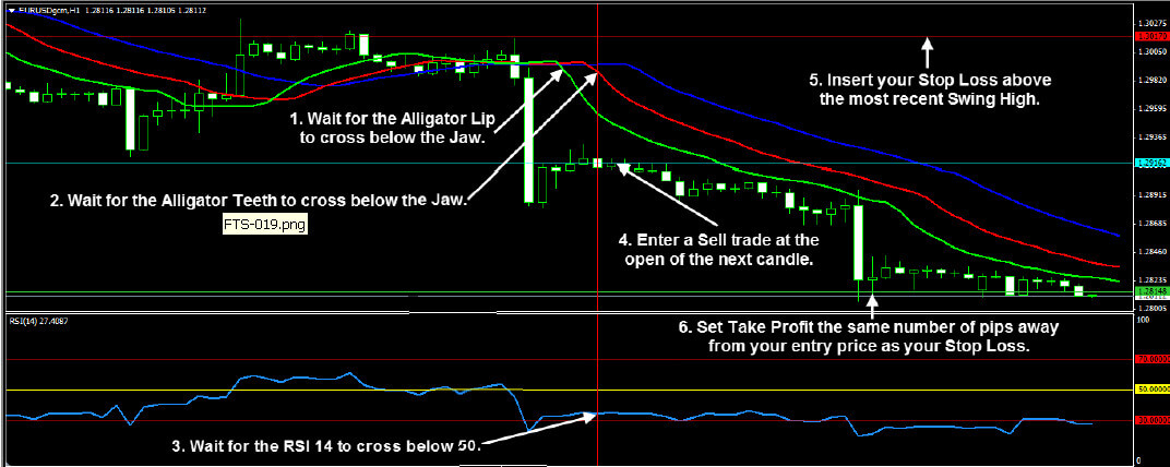 Forex Trend Secrets System