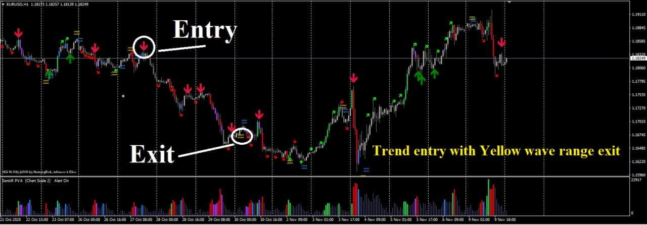 Assar Phoenix Elite 2022