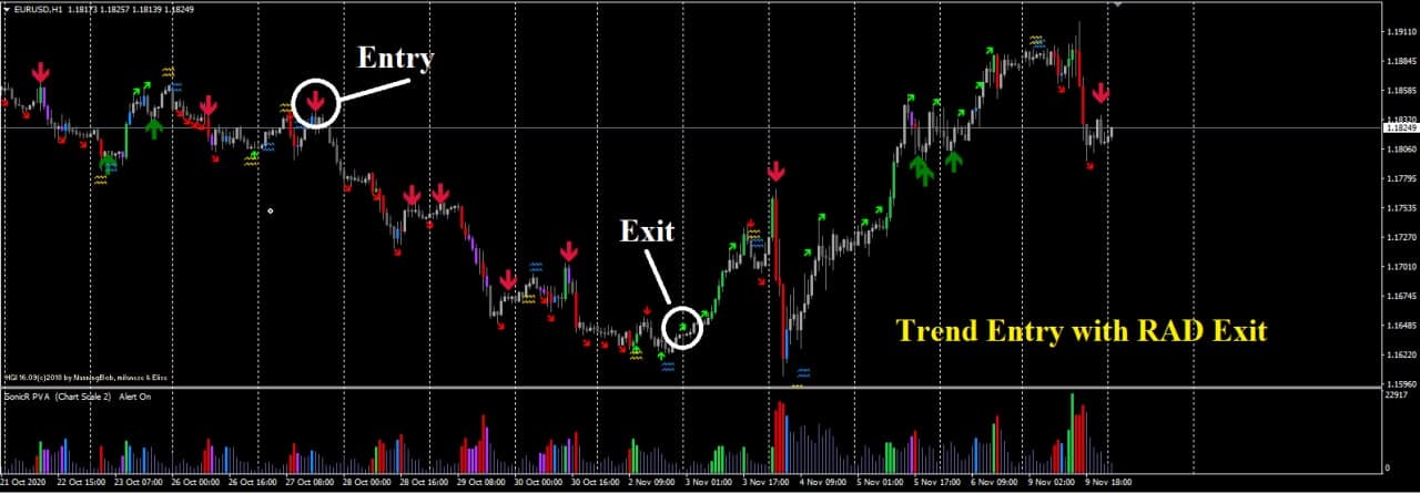 Assar Phoenix Elite 2022