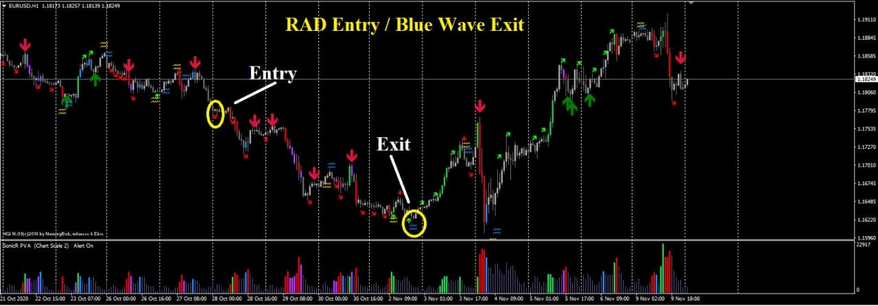 Assar Phoenix Elite 2022