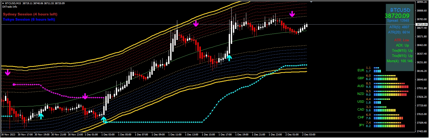 FOREX MIDL TRADING SYSTEM