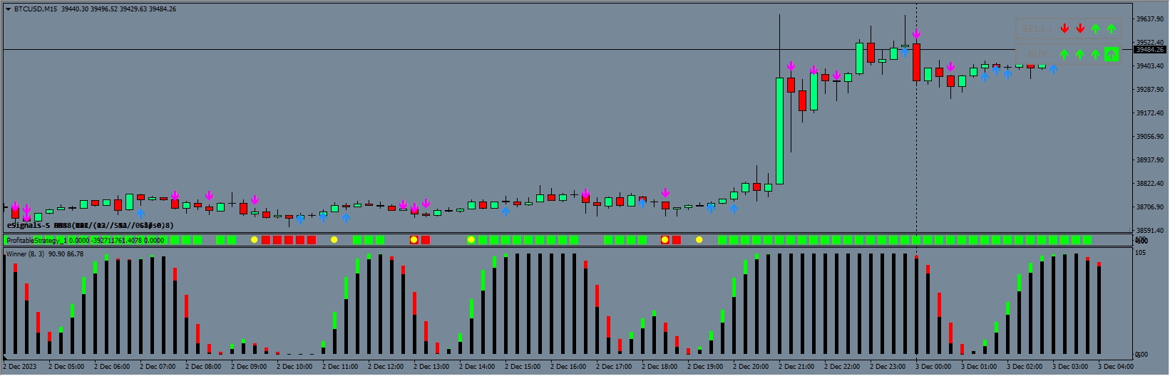 DNK with Alpha winner