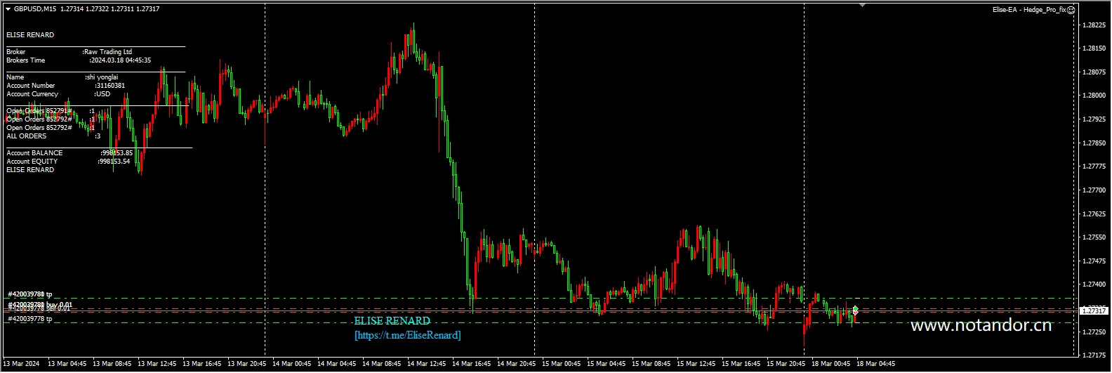 Elise-EA - Hedge_Pro_fix