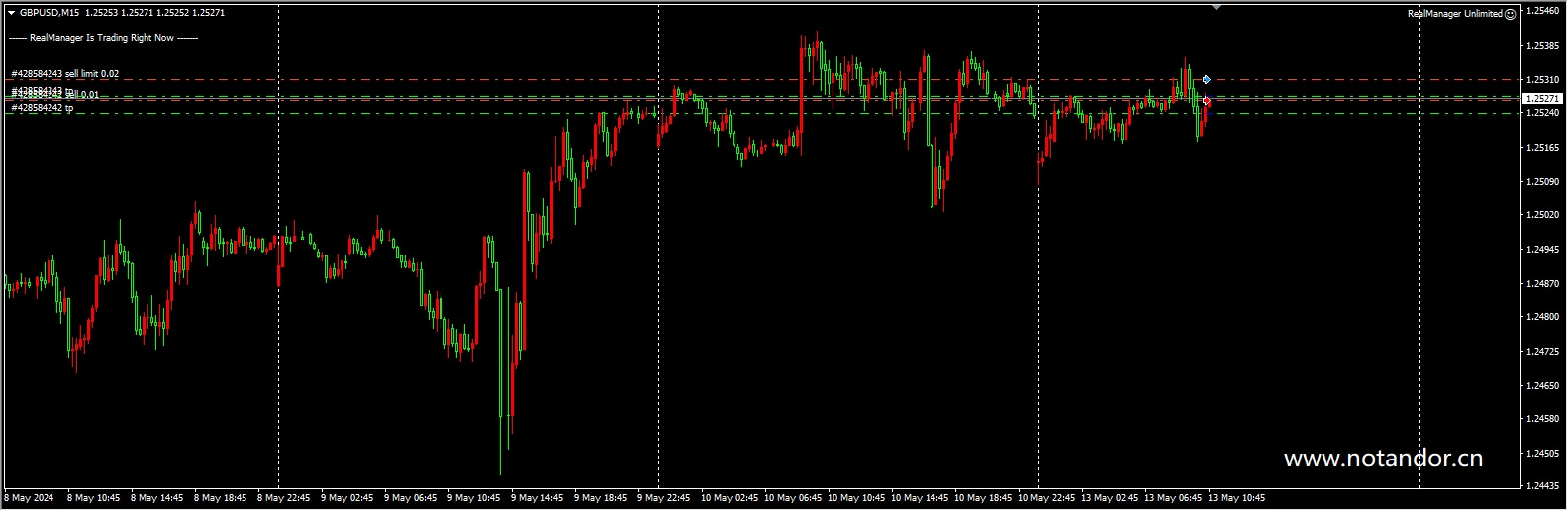 RealManager Unlimited