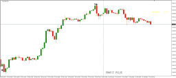 PROFIT PULSE